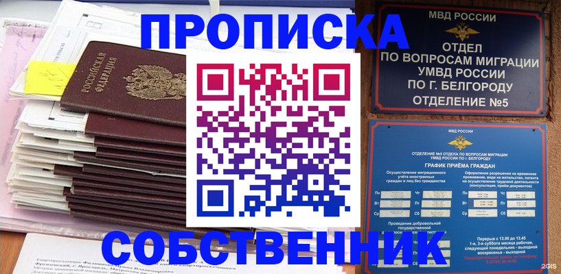 прописка законно в Коркино